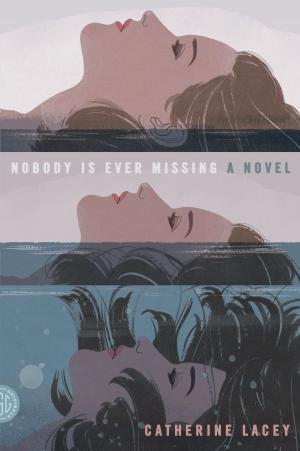 Cover of the book Nobody Is Ever Missing by Adam Foulds