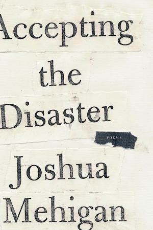 Cover of the book Accepting the Disaster by Nick Payne