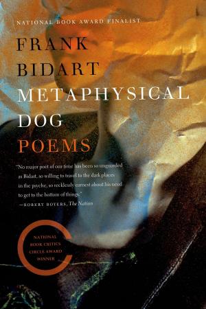 Cover of the book Metaphysical Dog by Witold Rybczynski