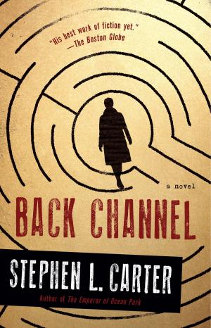 Cover of the book Back Channel by Bob Leuci