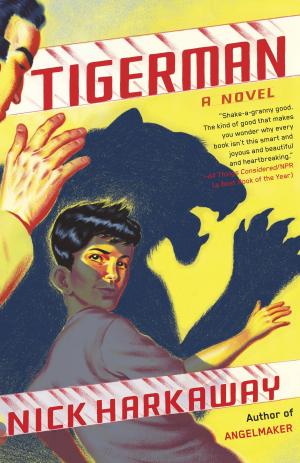 Cover of the book Tigerman by Cédric Blondelot
