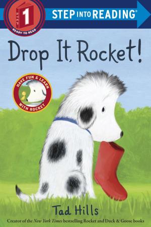 Cover of the book Drop It, Rocket! by Lynne Reid Banks