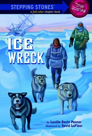 Cover of the book Ice Wreck by Bonnie Bryant