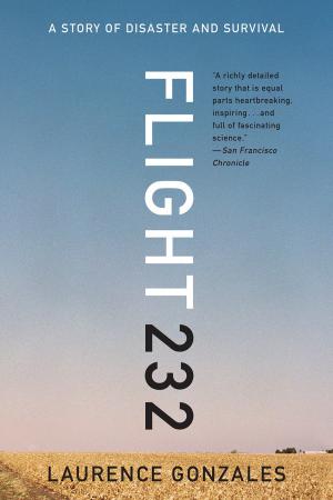 Book cover of Flight 232: A Story of Disaster and Survival