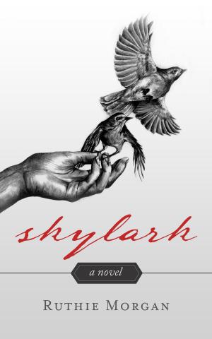Cover of the book Skylark by David LaGraff