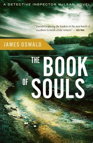Cover of the book The Book of Souls by Stuart David