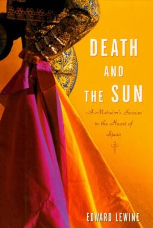Cover of the book Death and the Sun by Lisa Servon