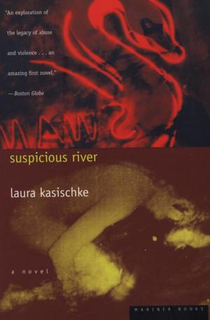 Book cover of Suspicious River
