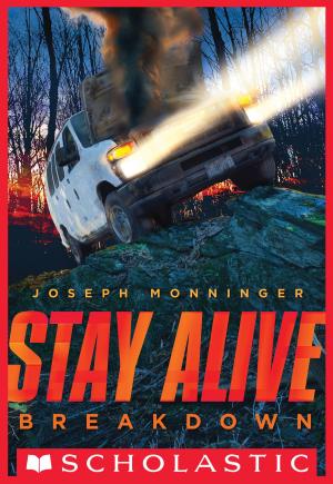 Book cover of Stay Alive #3: Breakdown