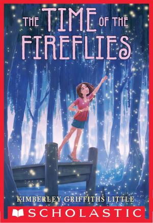 Cover of the book The Time of the Fireflies by Melvin Burgess