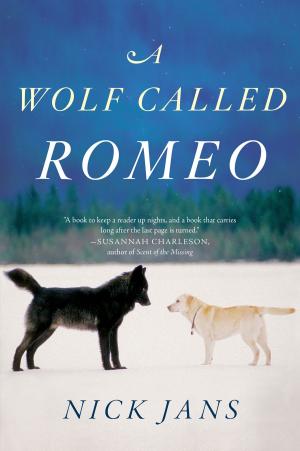 Cover of the book A Wolf Called Romeo by Howard Frank Mosher