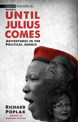 Cover of the book Until Julius Comes by Schalkie van Wyk