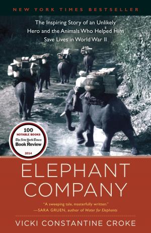 Cover of the book Elephant Company by David King Dunaway