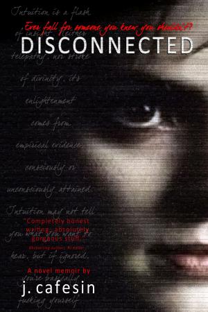 Cover of the book Disconnected by Lilith Darville