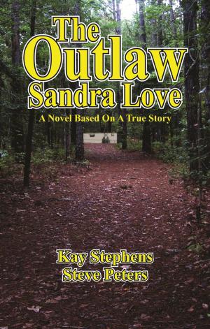 Book cover of The Outlaw Sandra Love