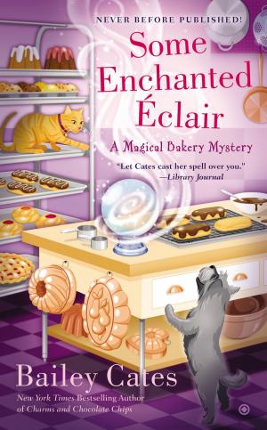 Cover of the book Some Enchanted Eclair by C.A. Belmond