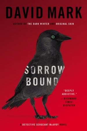 Cover of the book Sorrow Bound by Carla Fredd