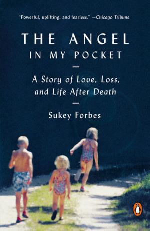 Cover of the book The Angel in My Pocket by Monica Ferris