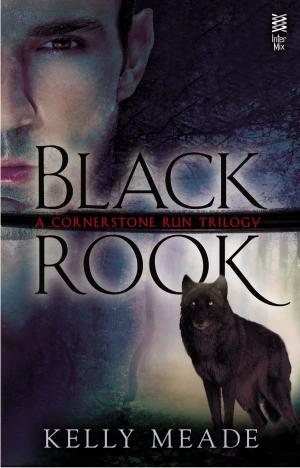 Cover of the book Black Rook by Garrison Keillor