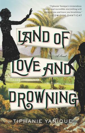 Cover of the book Land of Love and Drowning by Shoukei Matsumoto