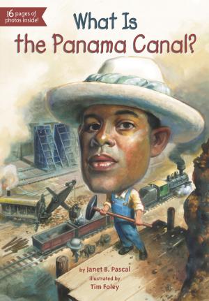 Cover of the book What Is the Panama Canal? by Anthony Horowitz