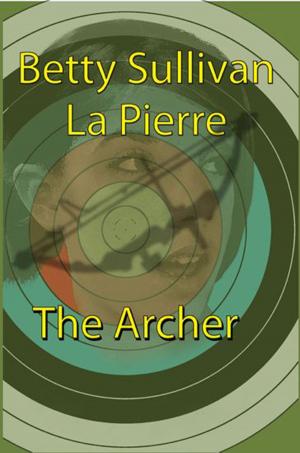 Cover of the book The Archer by Terry Amos
