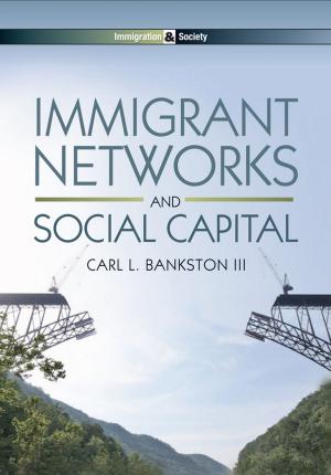 Cover of the book Immigrant Networks and Social Capital by Michael J. Barratt, Donald E. Frail