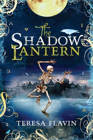 Cover of the book The Shadow Lantern by Lauren Child