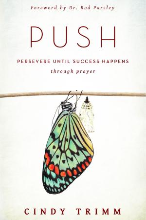 Cover of the book PUSH by Wilfred Graves Jr., Ph.D