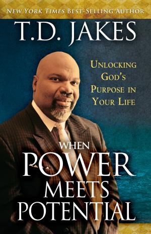 Cover of the book When Power Meets Potential by Mornay Johnson, Mark Chironna