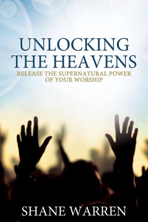 Cover of the book Unlocking the Heavens by Kerry Kirkwood