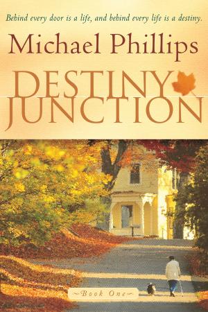 Book cover of Destiny Junction