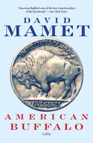 Cover of the book American Buffalo by Anne Enright