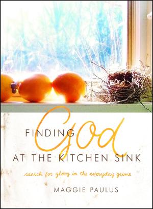 Cover of the book Finding God at the Kitchen Sink by Ken Wytsma, A. J. Swoboda