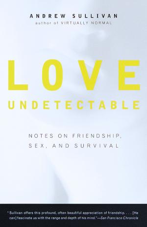 Cover of the book Love Undetectable by S.J. Parris