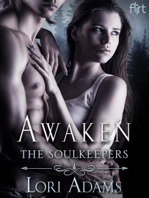 Cover of the book Awaken by Ally Adair