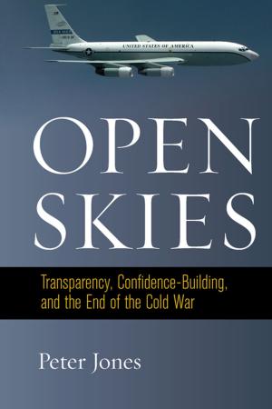 Cover of the book Open Skies by Asher D. Biemann