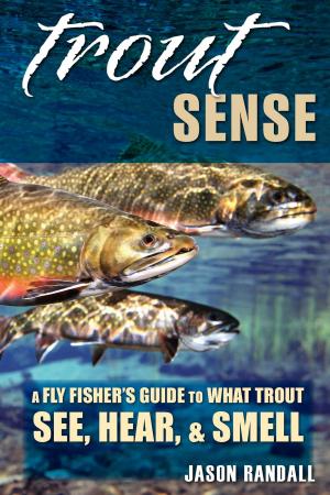 Cover of the book Trout Sense by Michael Courtman
