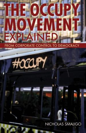 Cover of the book The Occupy Movement Explained by David Baggett, Shawn E. Klein