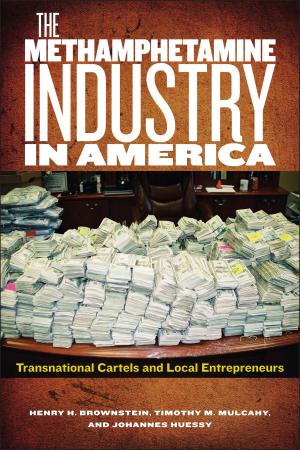 Book cover of The Methamphetamine Industry in America