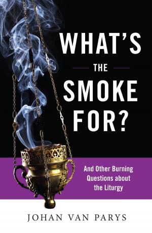 Cover of the book What's the Smoke For? by Denise Dombkowski Hopkins