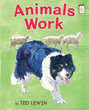 Cover of the book Animals Work by Vivian Vande Velde