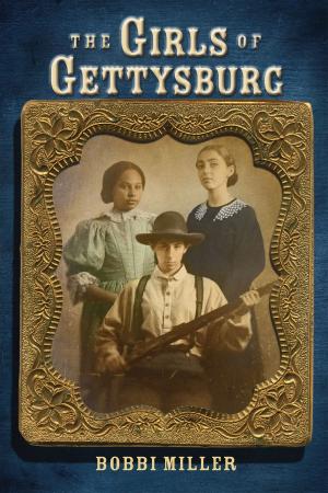 Cover of the book The Girls of Gettysburg by Vivian Vande Velde