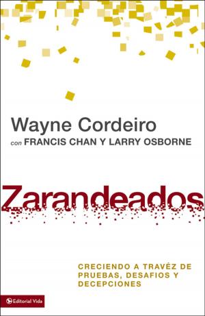 Book cover of Zarandeados