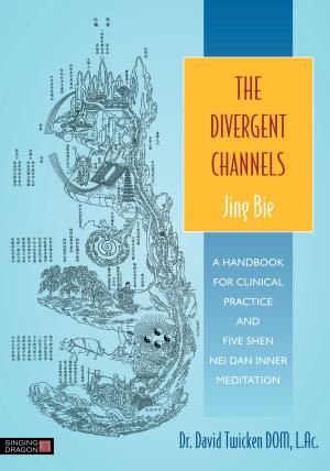 Book cover of The Divergent Channels - Jing Bie