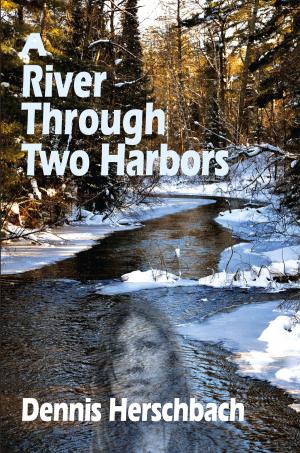 Book cover of A River Through Two Harbors