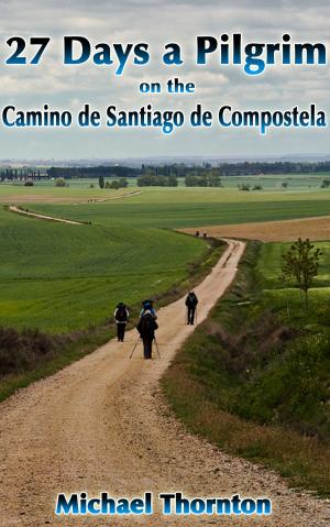 Cover of 27 Days a Pilgrim on the Camino de Santiago de Compostela