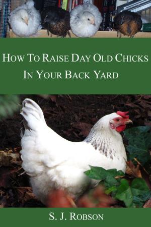 Cover of the book How to Raise Day-old Chicks in Your Back Yard by Krystyna Faroe