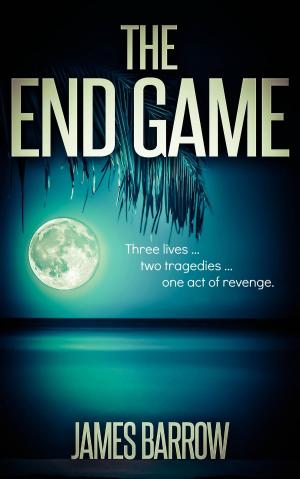 Cover of the book The End Game by Greg Messel