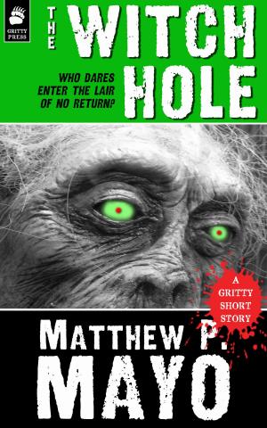 Book cover of THE WITCH HOLE